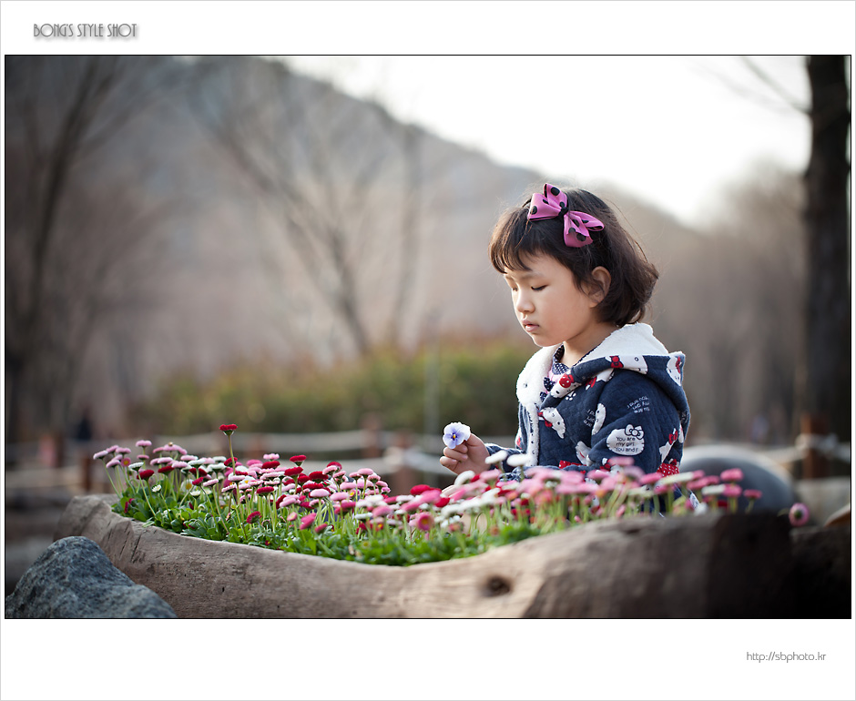 20120318sumokwon1-2.jpg