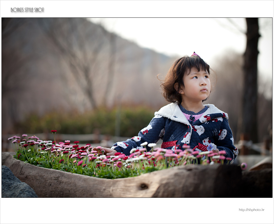 20120318sumokwon1-4.jpg