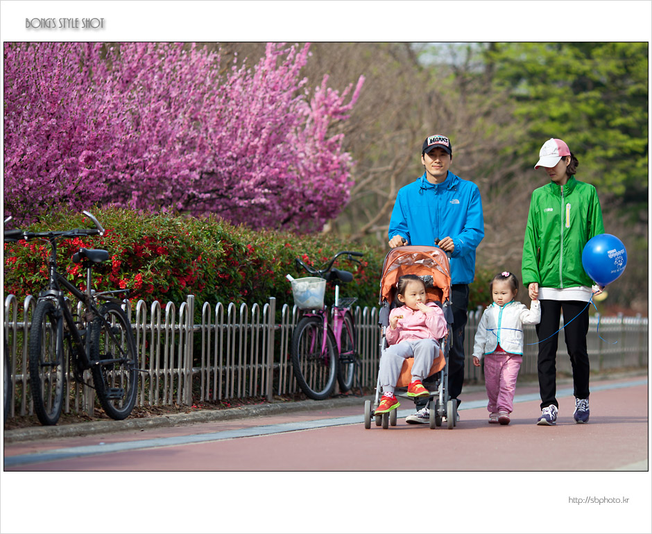 20120415dyfamily21.JPG