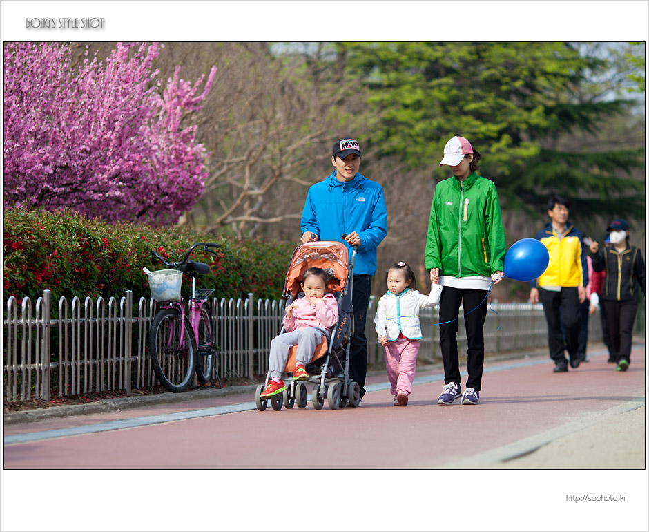 20120415dyfamily24.jpg